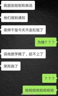 吃瓜鹅组每日爆料,娱乐圈最新动态大揭秘